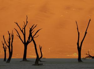 Sunrise Namibia