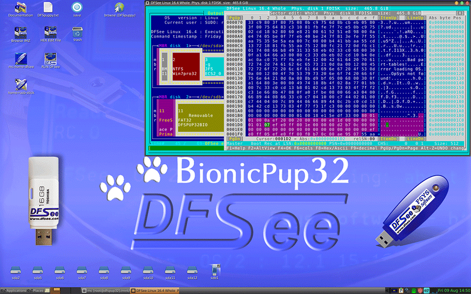 DFSee Bionic32 desktop (PUPPY)