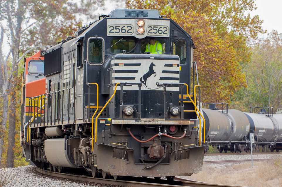 Mustang on the tracks