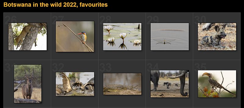 Botswana in the wild 2022, favourites, selection of 50 b22-favourites